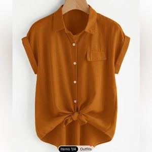 SHEIN Professional Blouse